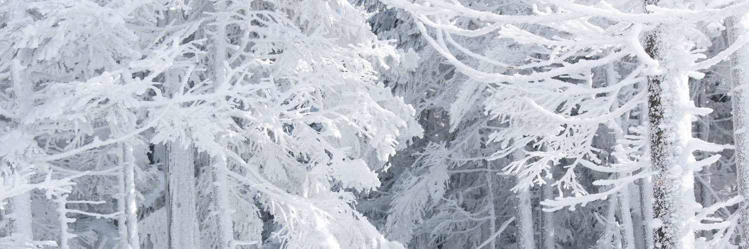 heaven_high's profile banner image