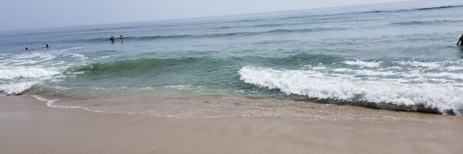 LisaBanavich's profile banner image