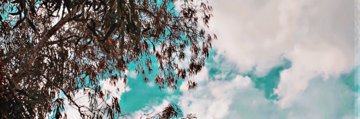 Manal_I's profile banner image