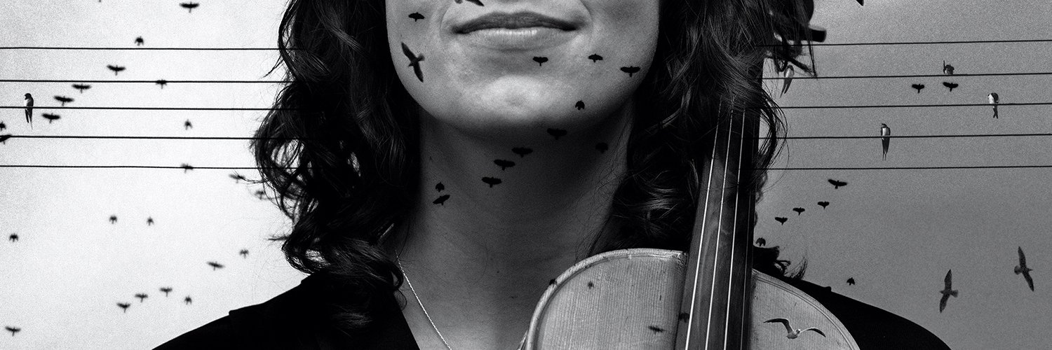 OrchCannes's profile banner image