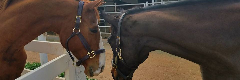 OTTBstaff's profile banner image