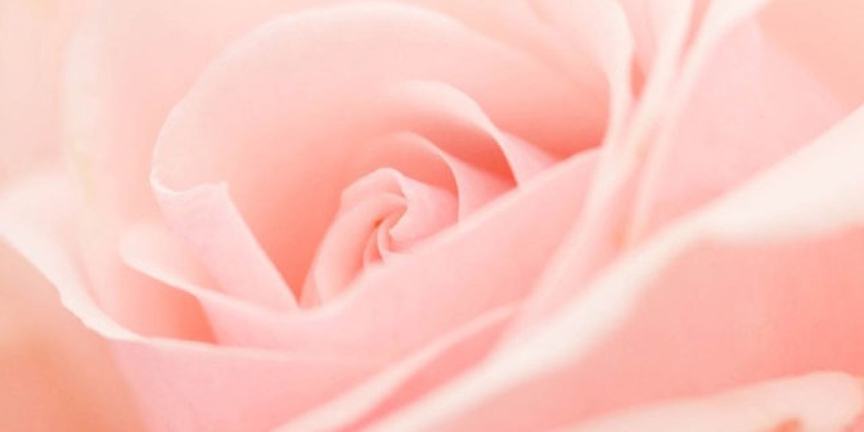 meglee123's profile banner image