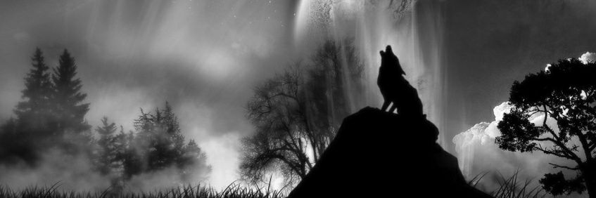 tcat34's profile banner image