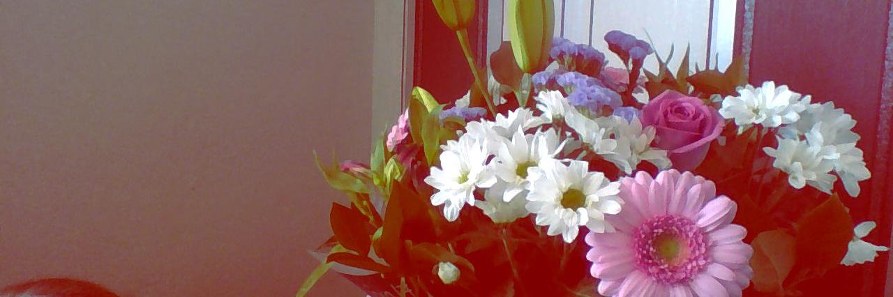 DoeJany's profile banner image