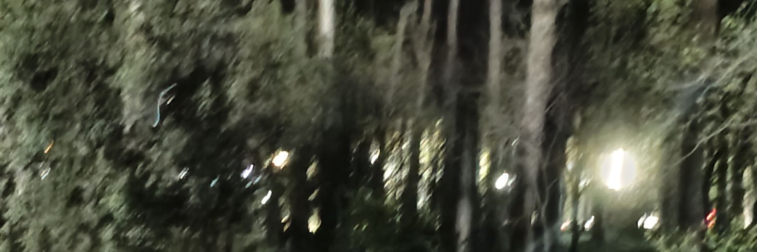 sea_at's profile banner image
