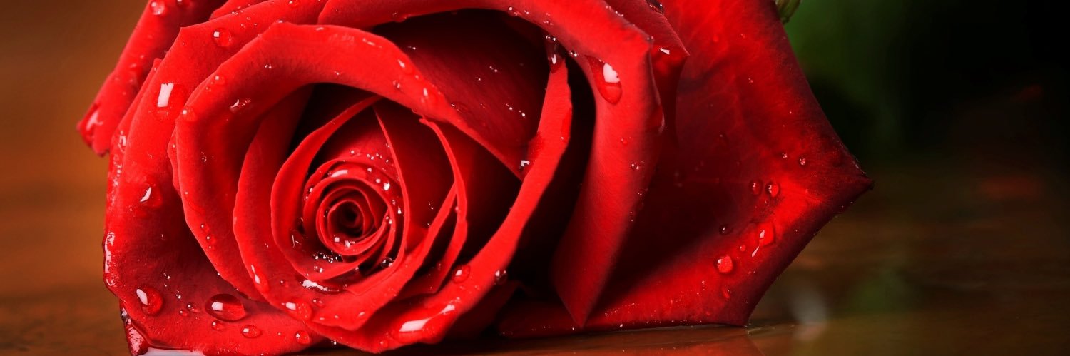 _EnvyT_'s profile banner image
