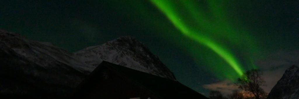 malterama's profile banner image