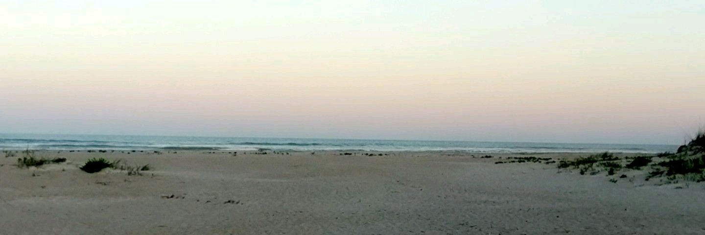 rachelpage's profile banner image