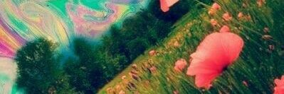 Bebob0803's profile banner image