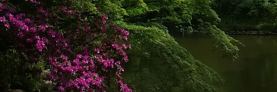 baba19680401's profile banner image