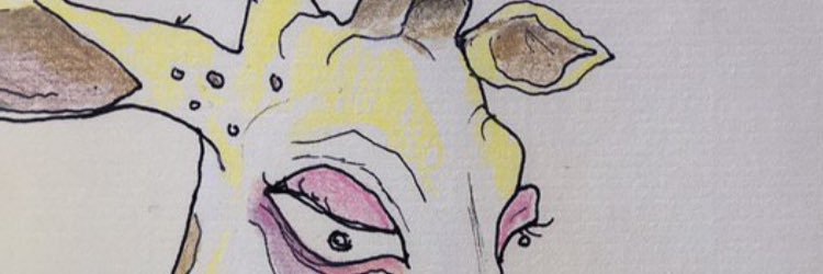 laurseels's profile banner image
