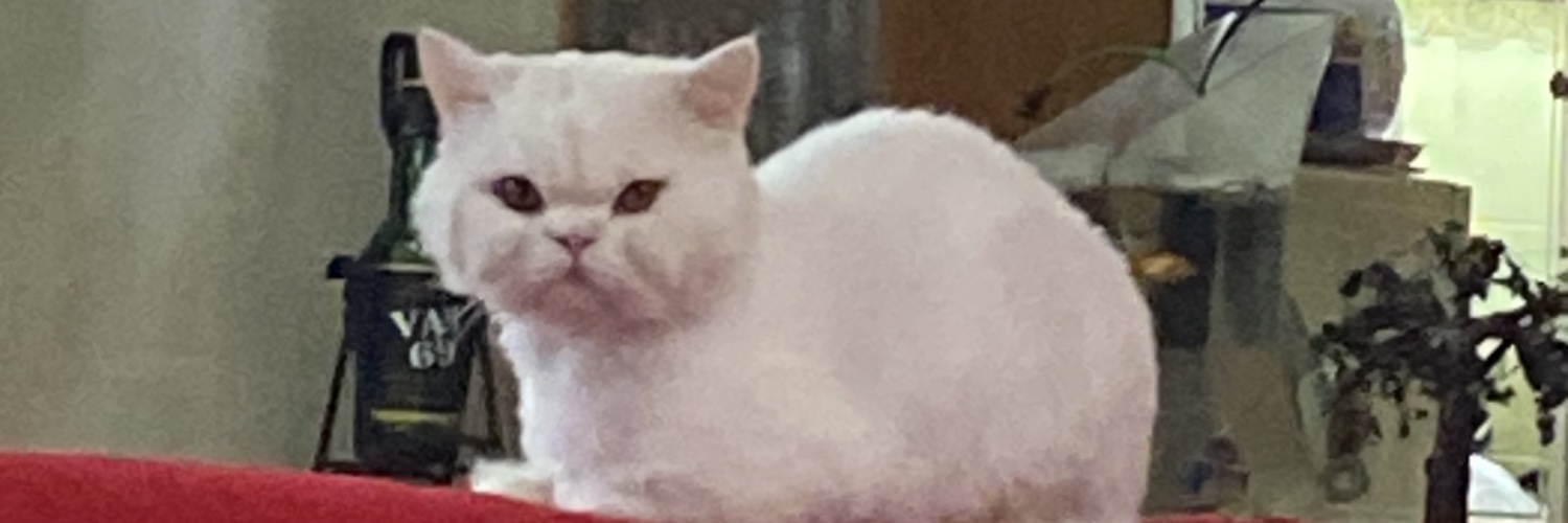 SevoFidan's profile banner image