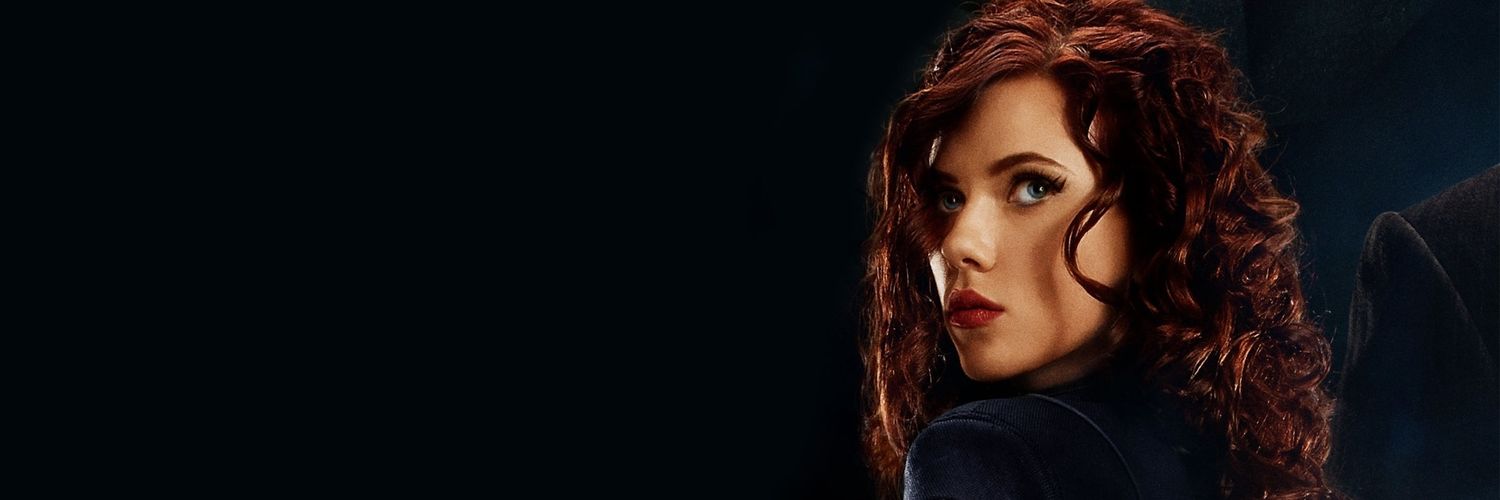 DissidentWidow's profile banner image