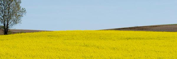 PlantLink Profile Banner