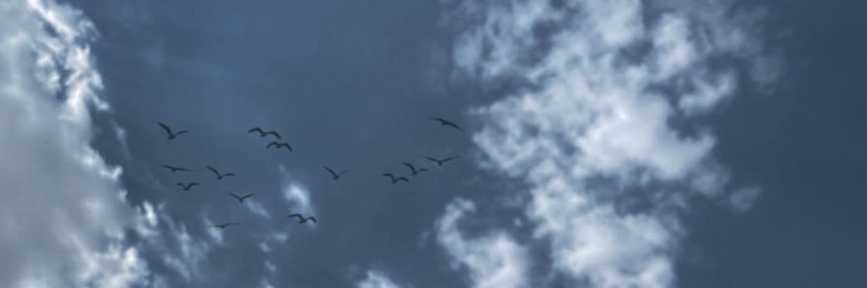 ohoud20205's profile banner image