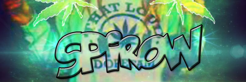Spirow404's profile banner image