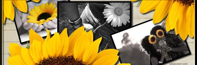 ALEXA5015's profile banner image