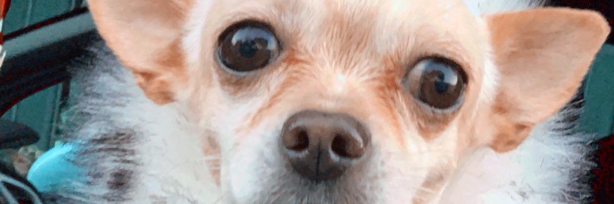 buseyllmzzz's profile banner image