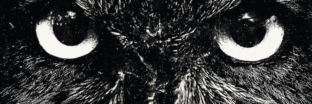 Levecque_'s profile banner image