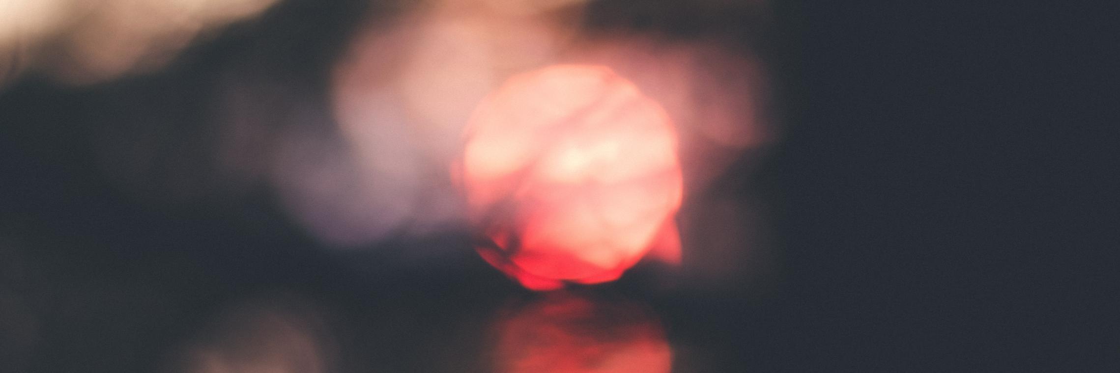 Thomas Lefebvre banner