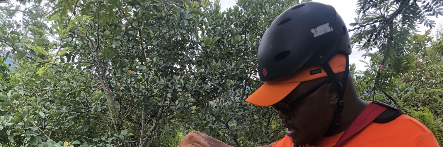 xndumi's profile banner image