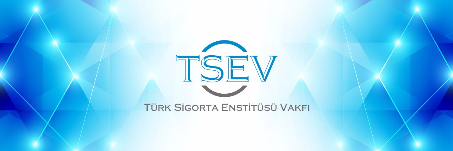 _TSEV_'s profile banner image