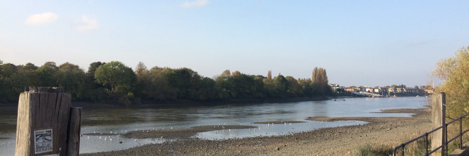 Christine Hever banner