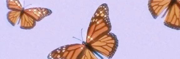 _karlaaaa0's profile banner image