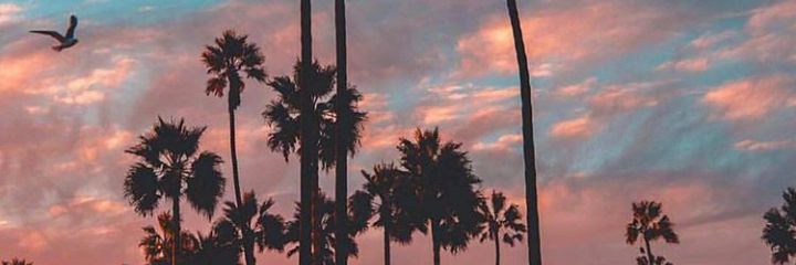 keshari0827's profile banner image
