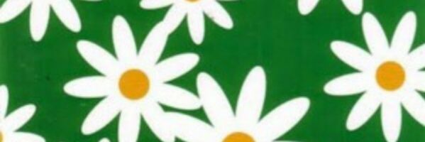 FCraco's profile banner image