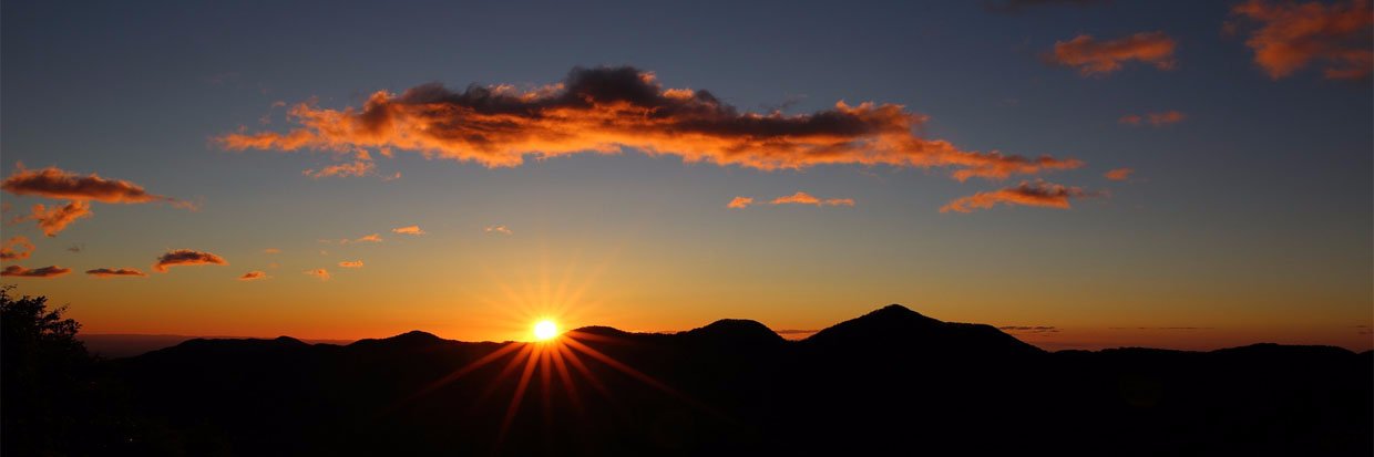 Daylight Times banner