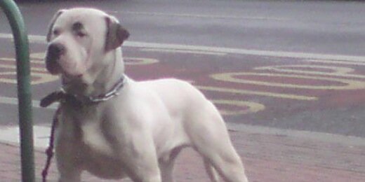 OTACBulldogs's profile banner image