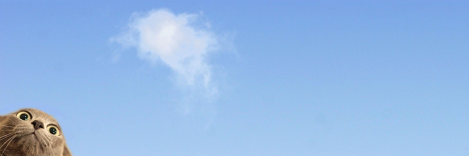 LawrenceVan's profile banner image
