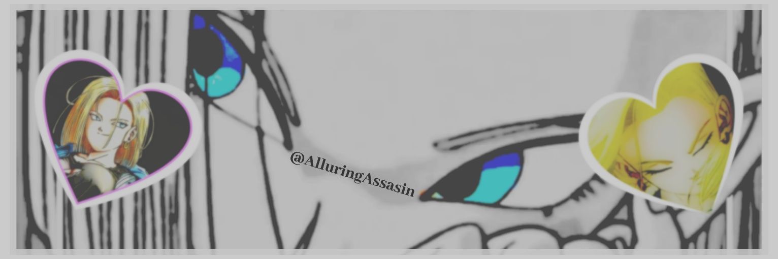 AlluringAssasin's profile banner image