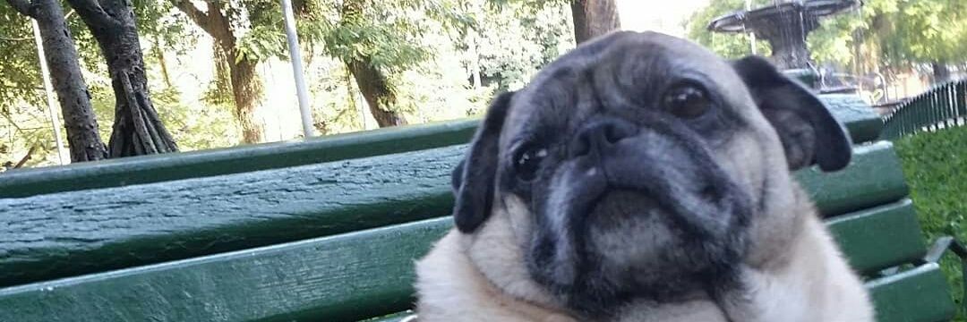 valerybastos's profile banner image