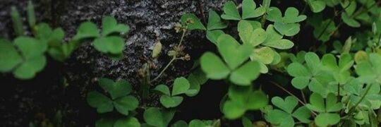 menxus93's profile banner image