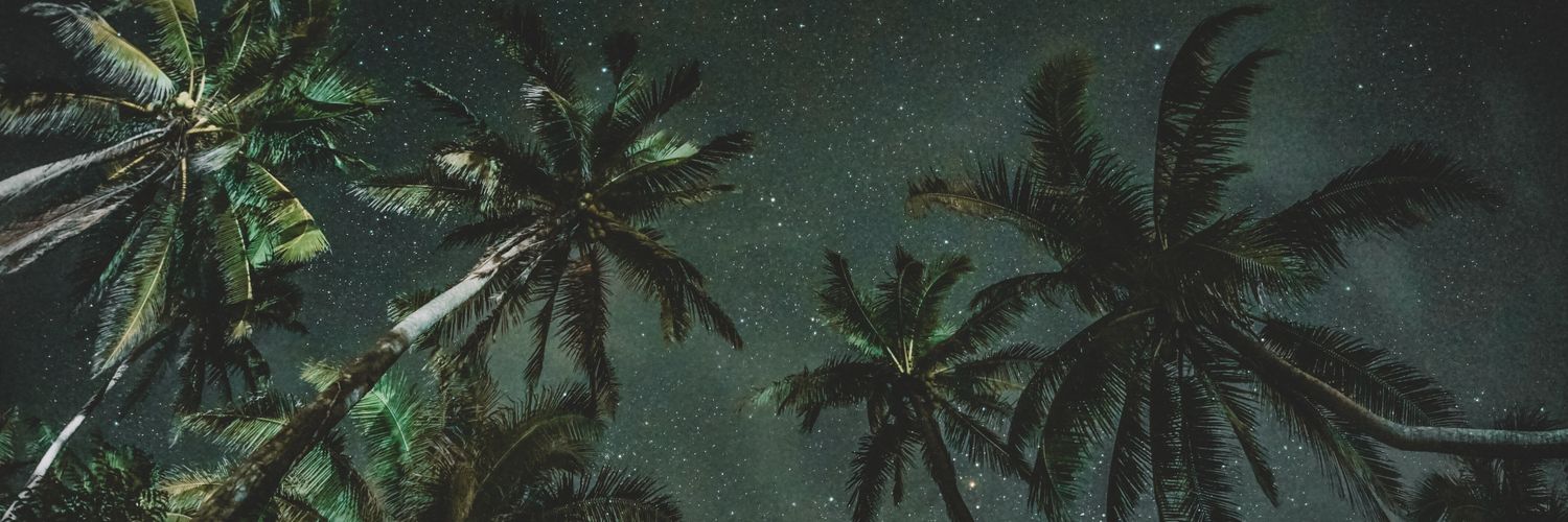 rvdj_Rafa's profile banner image