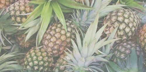 _XIRISKUS's profile banner image
