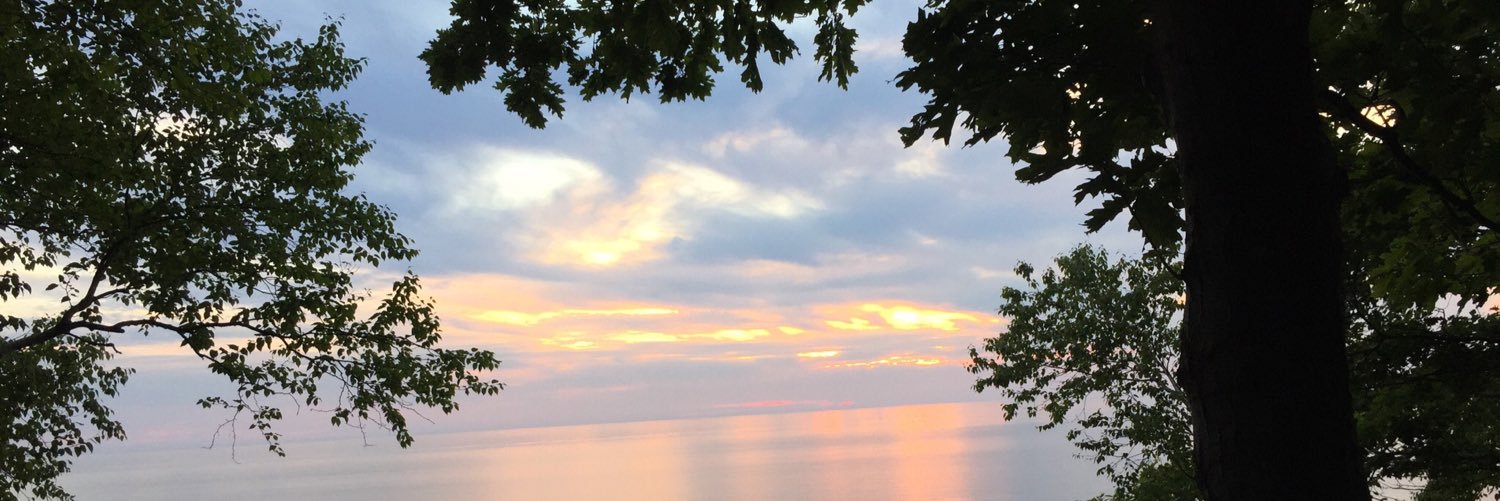 TamMGall's profile banner image