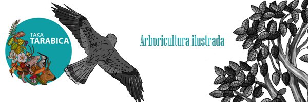 takatarabica Profile Banner