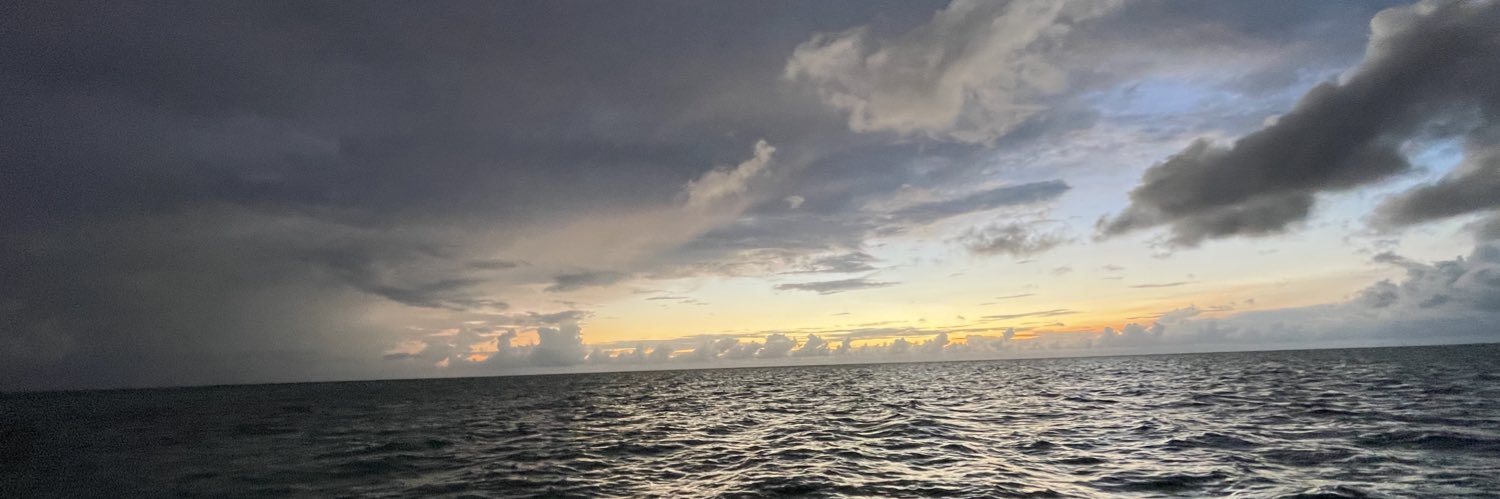 ❤️🖤💚 banner