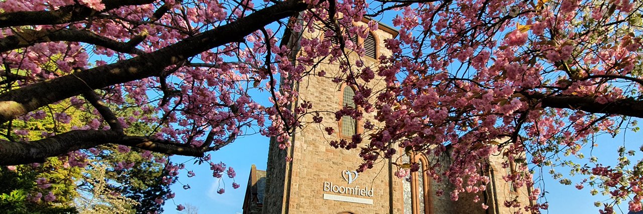BloomfieldPC's profile banner image