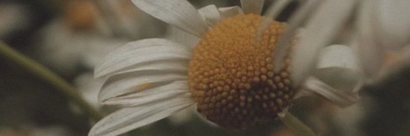 wimnaaa's profile banner image