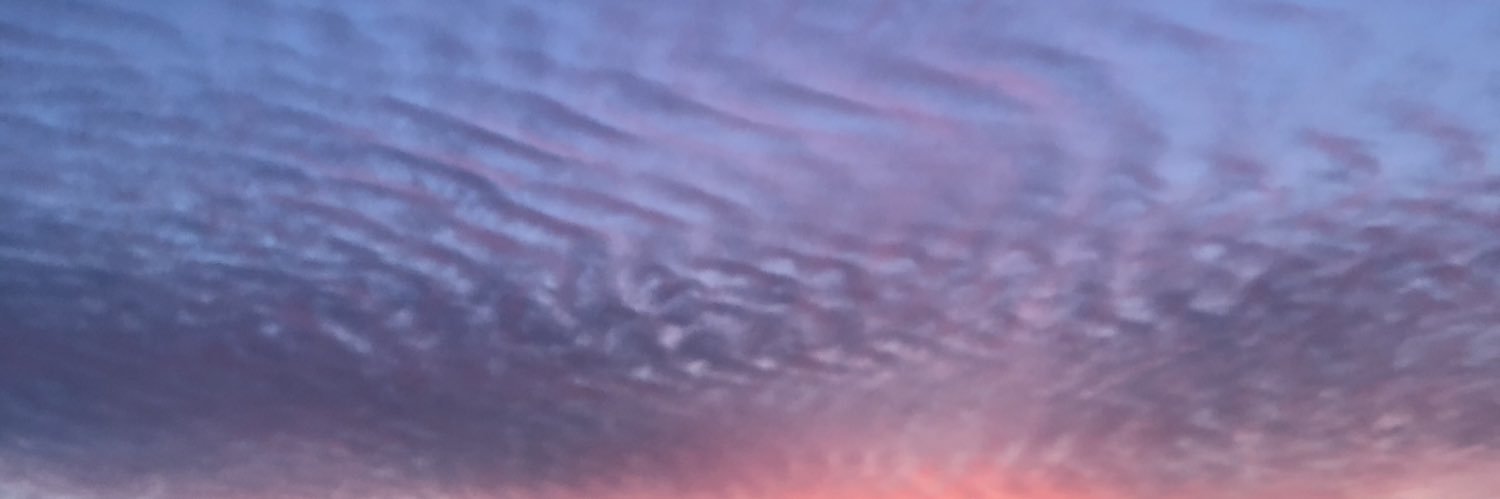 Servetunall's profile banner image