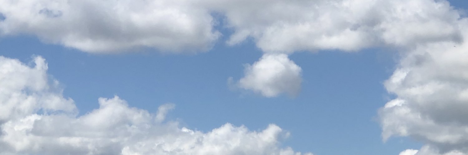 LudyRaquel's profile banner image