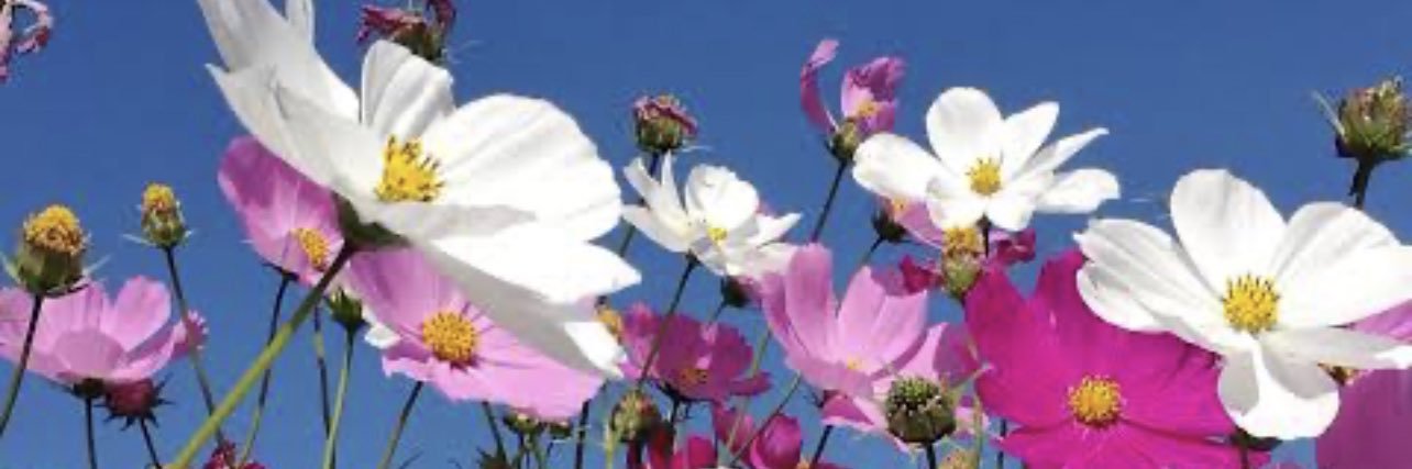 drsanjeev1981's profile banner image