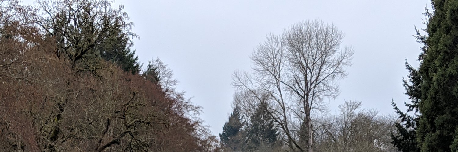 ComradeVolk's profile banner image