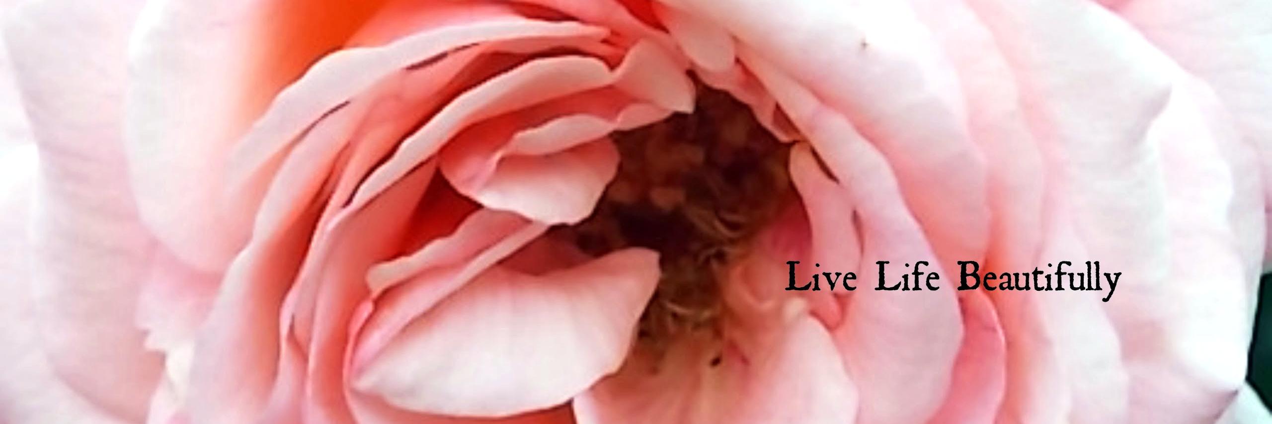 miladyleela's profile banner image
