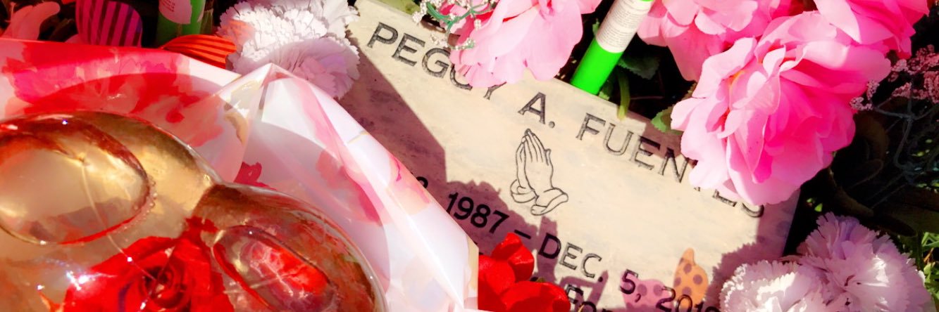 anicole_25's profile banner image