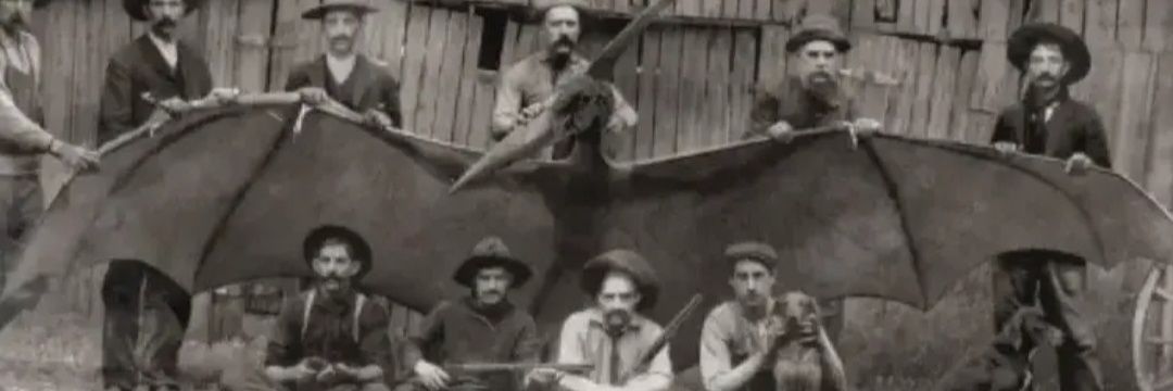 village fetish banner